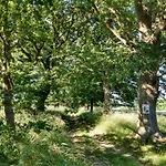 Lejlighed Strand-wohnung Am Bakenberg Dranske