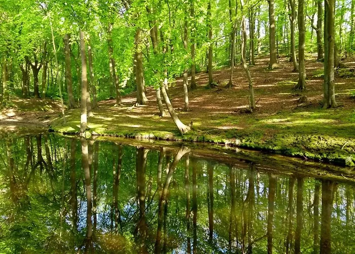 公寓 Strand-wohnung Am Bakenberg