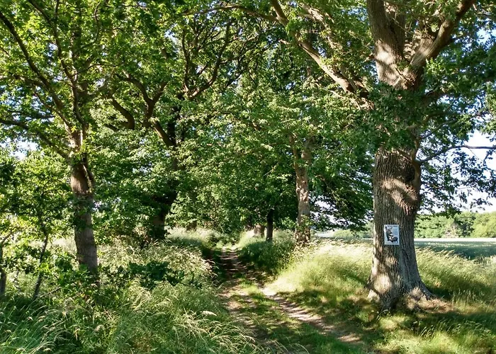 公寓 Strand-wohnung Am Bakenberg 德兰斯克